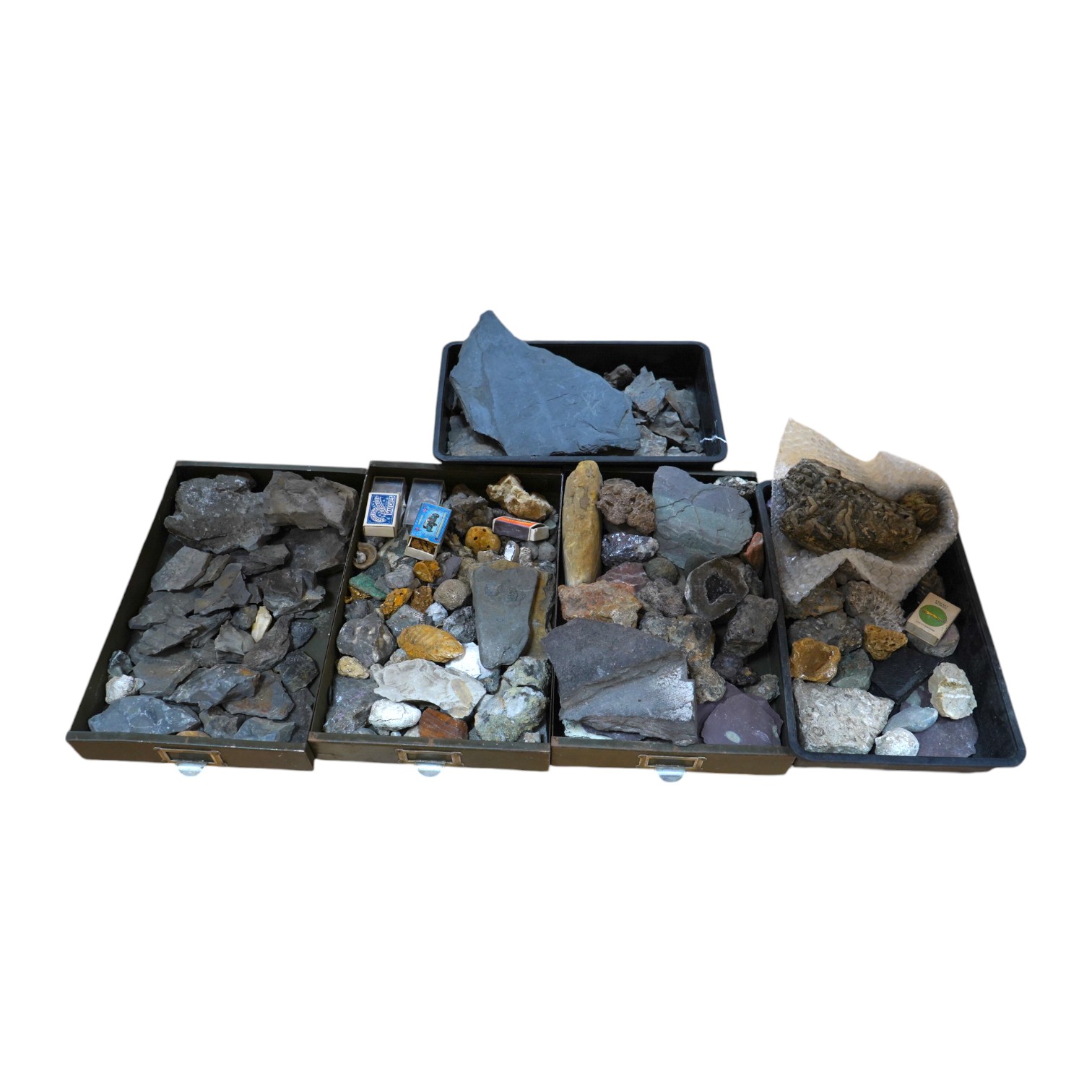 Five trays of fossils and minerals including a glacial river bed sample, lava flow, fossil tree imprint, reduction spots in slate, galina ore sample, a fossil sponge?, ammonites, vertebrae, onchinod ferns, seeds, shell i